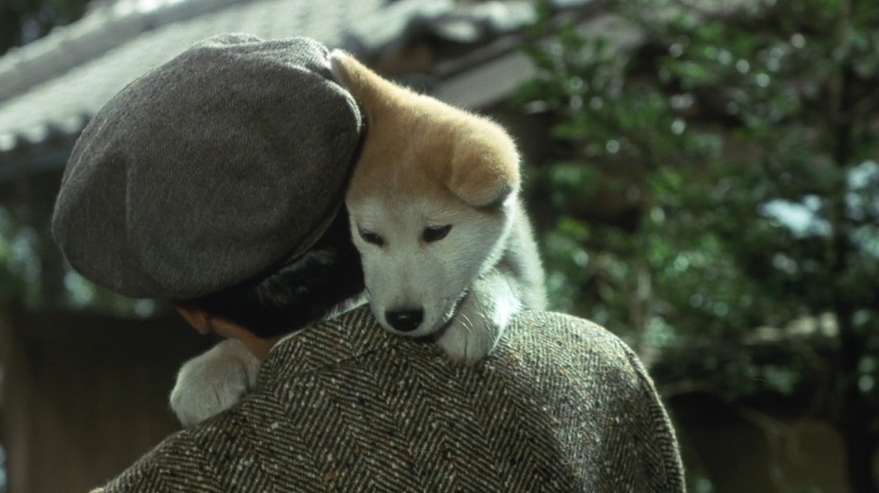 Hachiko (1987) backdrop artwork