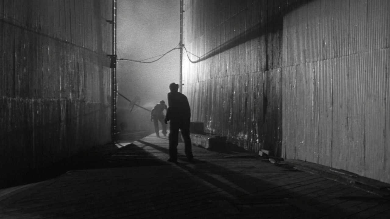 Panic in the Streets (1950) backdrop artwork