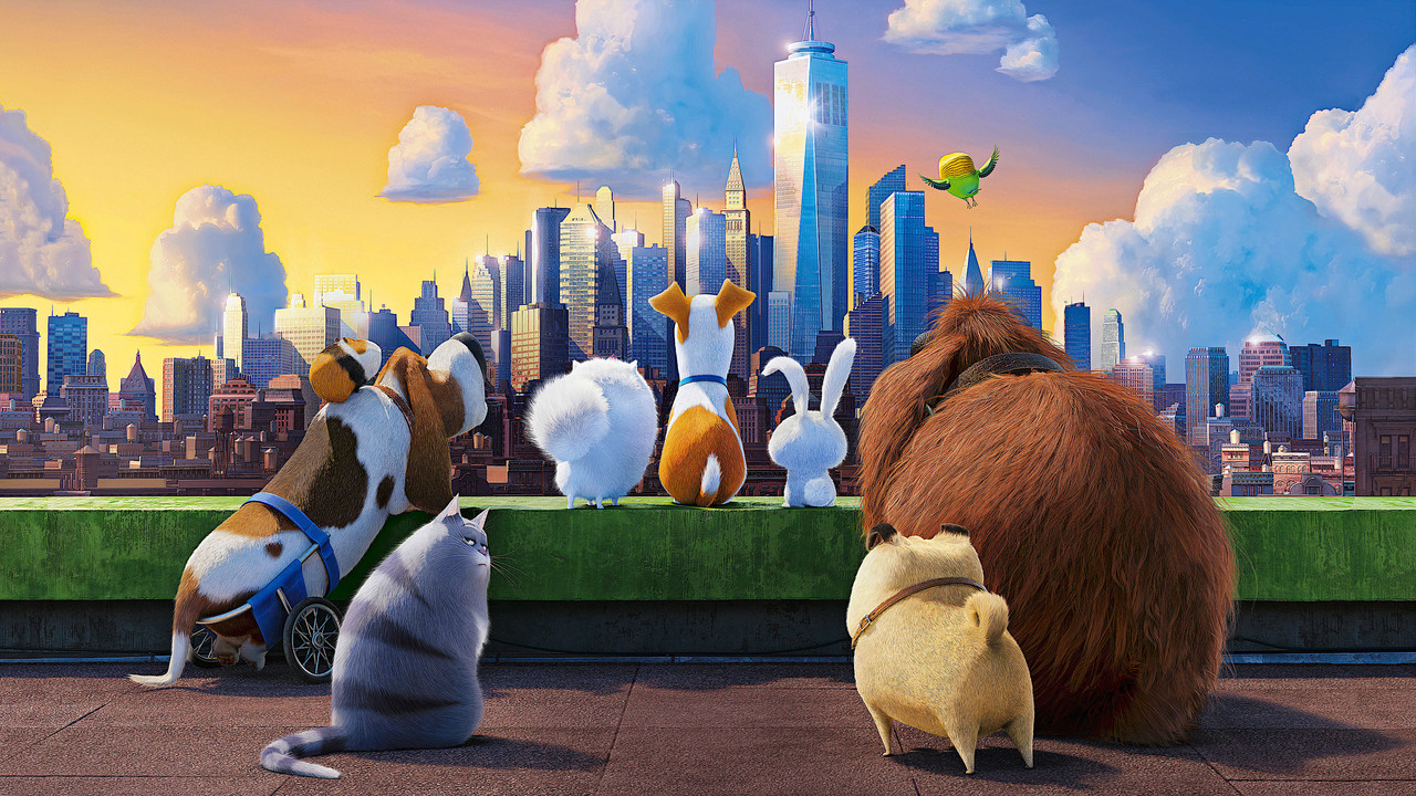 The Secret Life of Pets (2016) backdrop artwork