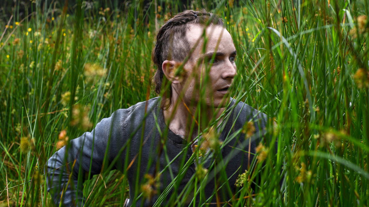 The Survivalist (2015) backdrop artwork