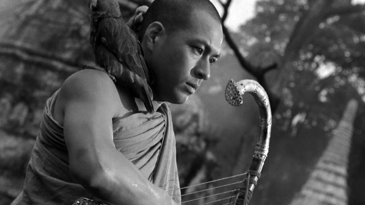 The Burmese Harp (1956) backdrop artwork