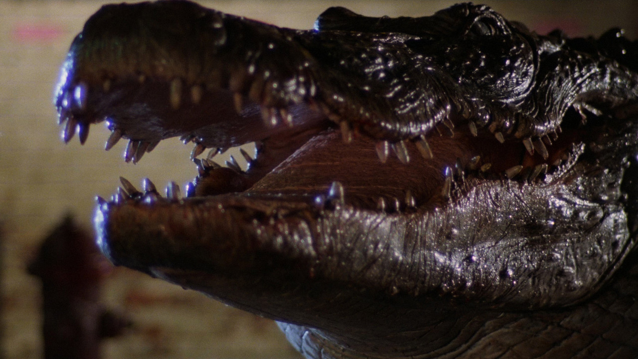 Alligator (1980) backdrop artwork