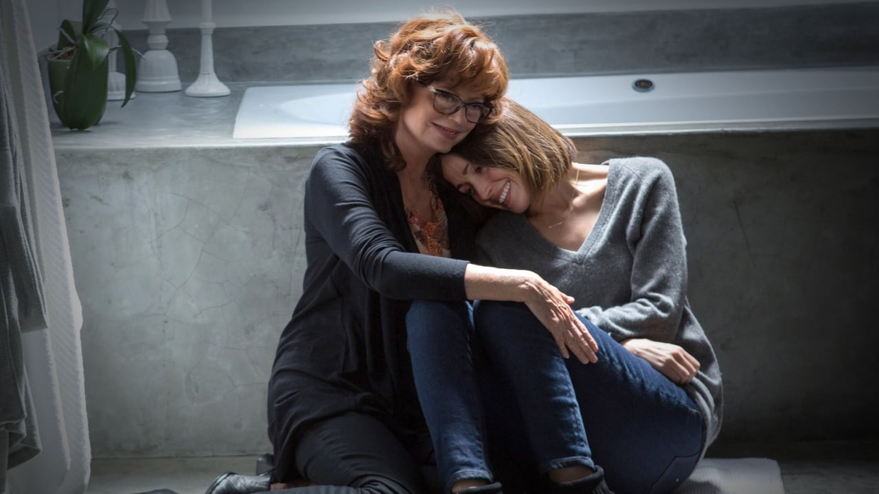 The Meddler (2016) backdrop artwork