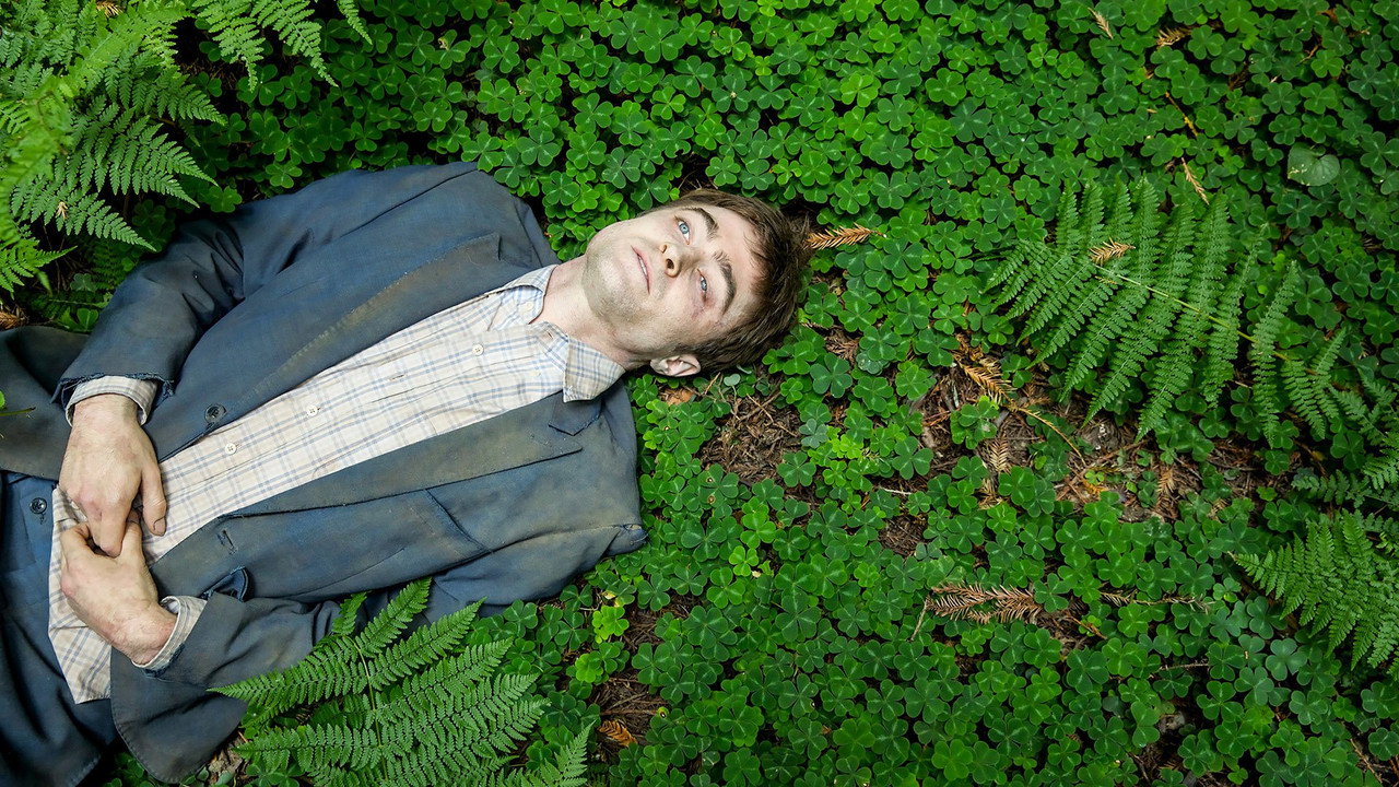 Swiss Army Man (2016) backdrop artwork