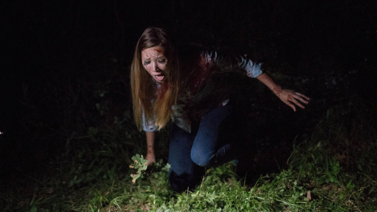 Found Footage 3D (2016) backdrop artwork