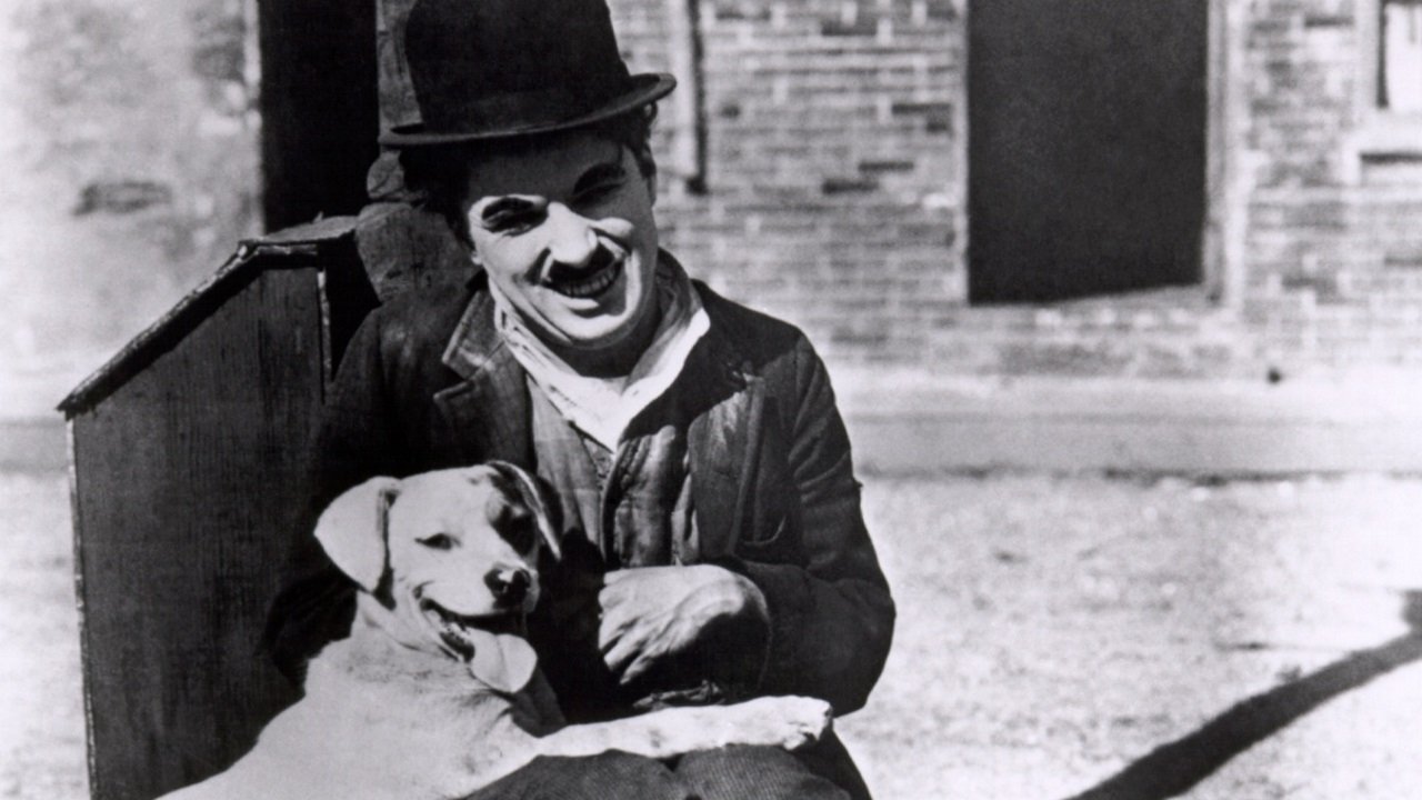 A Dog's Life (1918) backdrop artwork