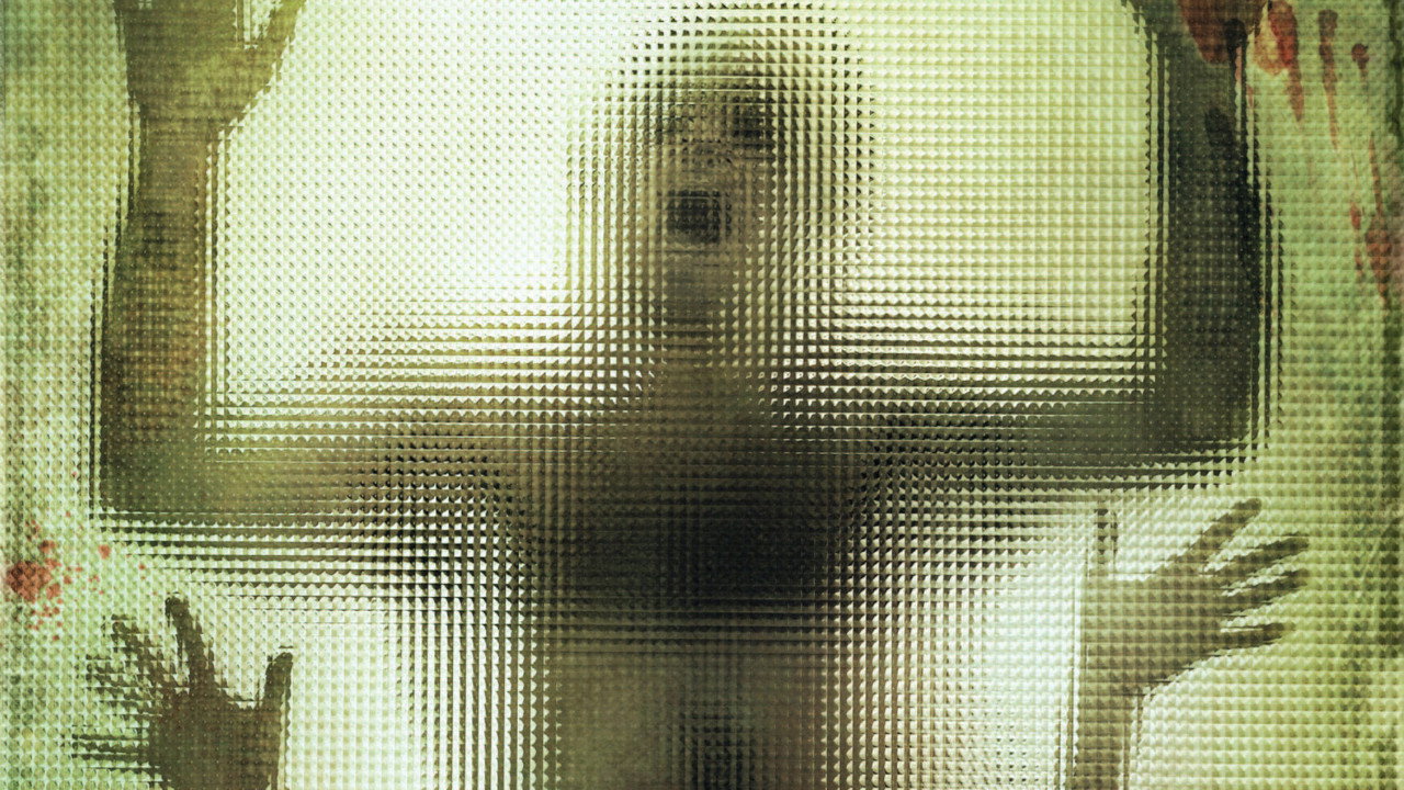 The Human Centipede (First Sequence) (2009) backdrop artwork