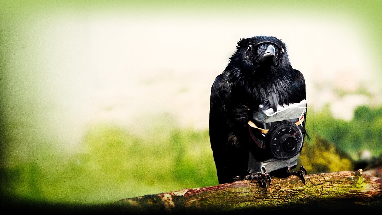 Four Lions (2010) backdrop artwork