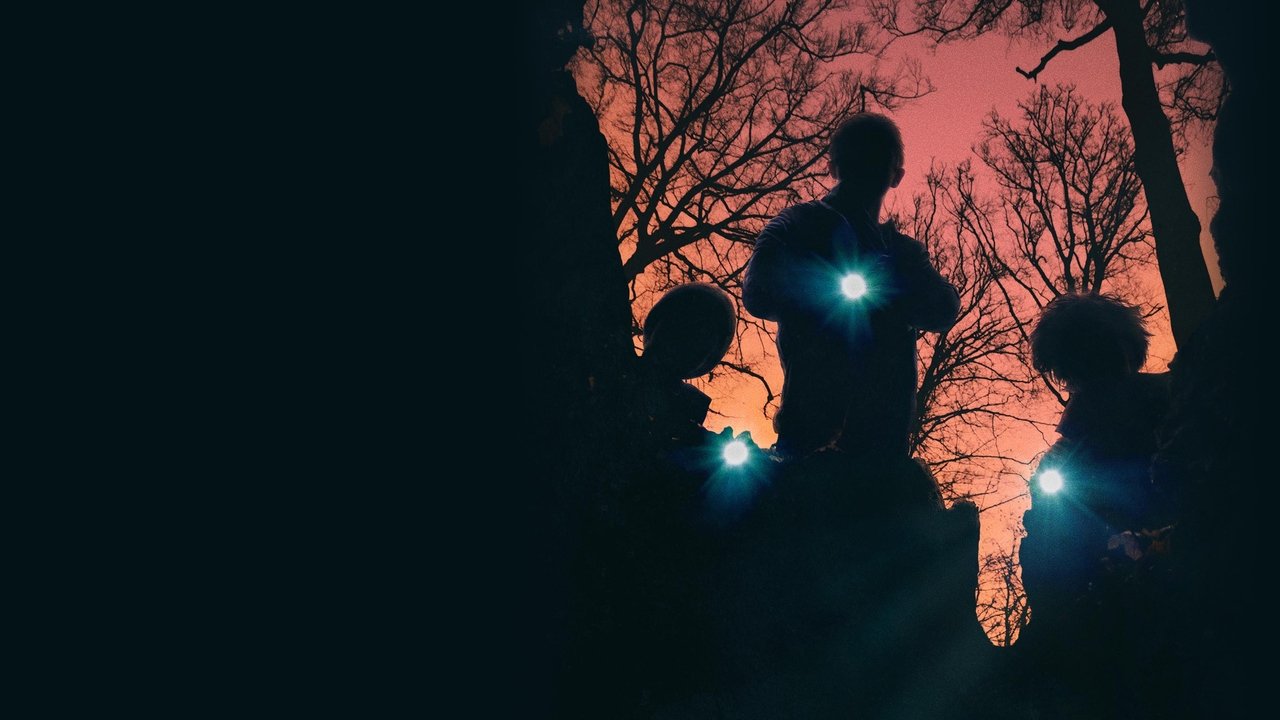 Super Dark Times (2017) backdrop artwork