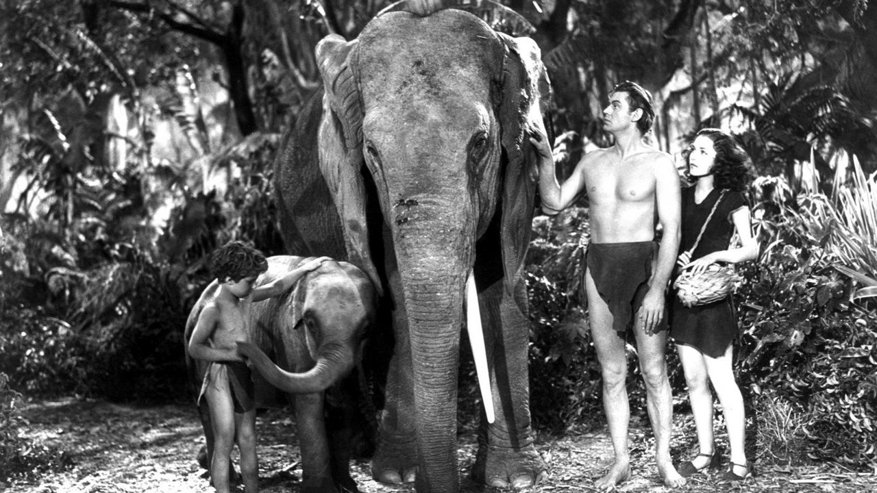 Tarzan Finds a Son! (1939) backdrop artwork