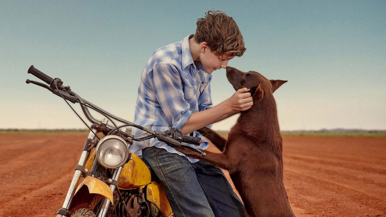 Red Dog: True Blue (2016) backdrop artwork