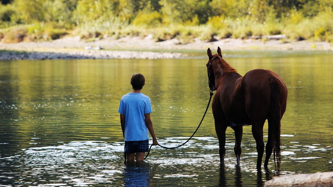 Lean on Pete (2018) backdrop artwork