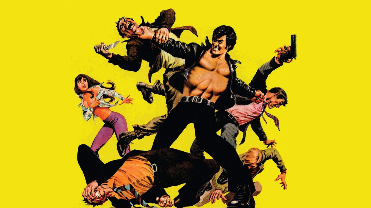 The Street Fighter (1974) backdrop artwork