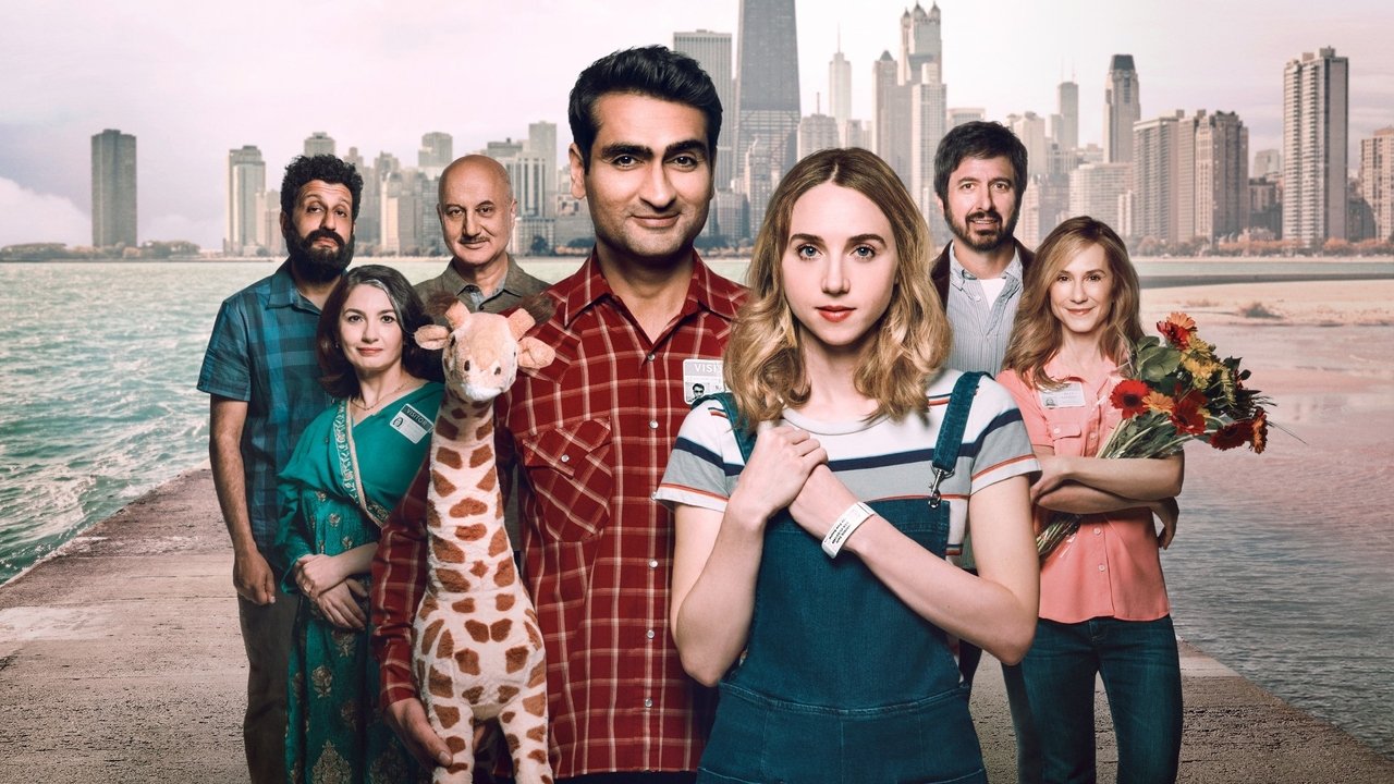The Big Sick (2017) backdrop artwork
