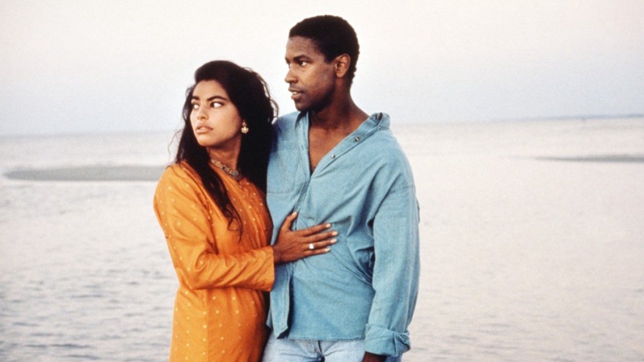 Mississippi Masala (1991) backdrop artwork