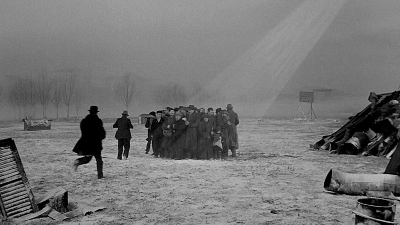 Miracle in Milan (1951) backdrop artwork