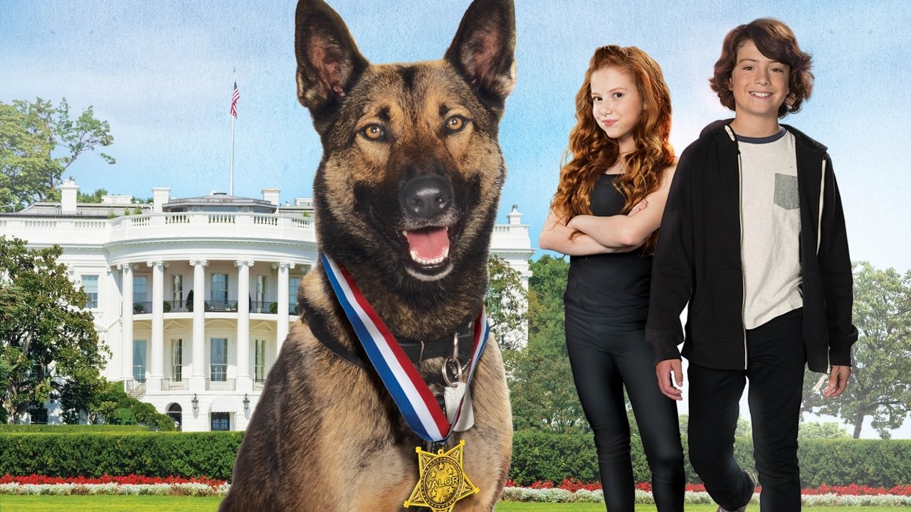 Max 2: White House Hero (2017) backdrop artwork