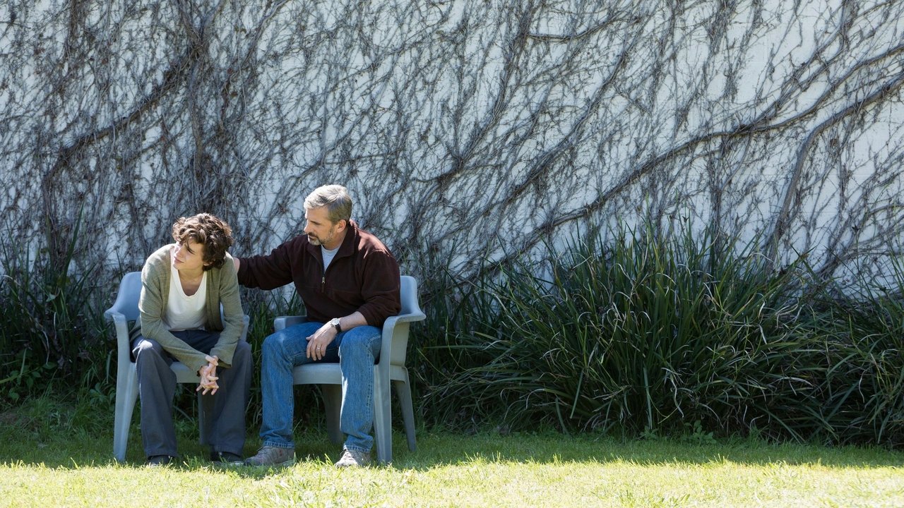 Beautiful Boy (2018) backdrop artwork