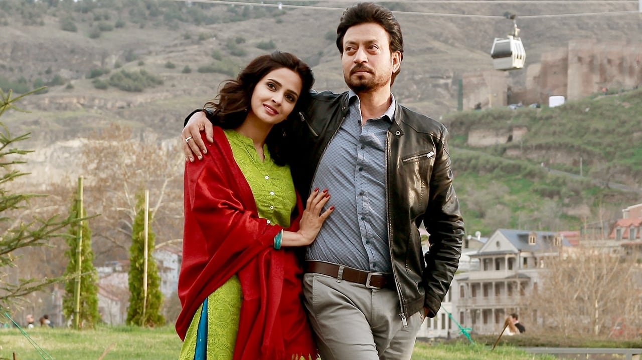 Hindi Medium (2017) backdrop artwork
