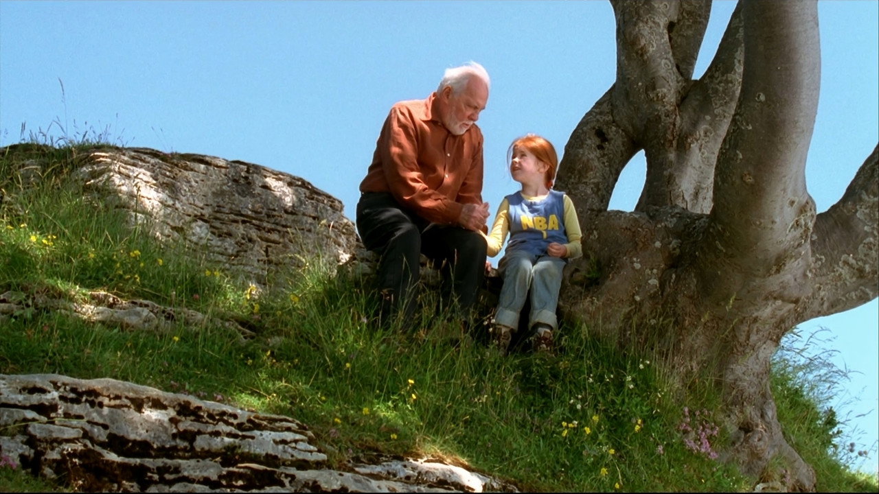 The Butterfly (2002) backdrop artwork