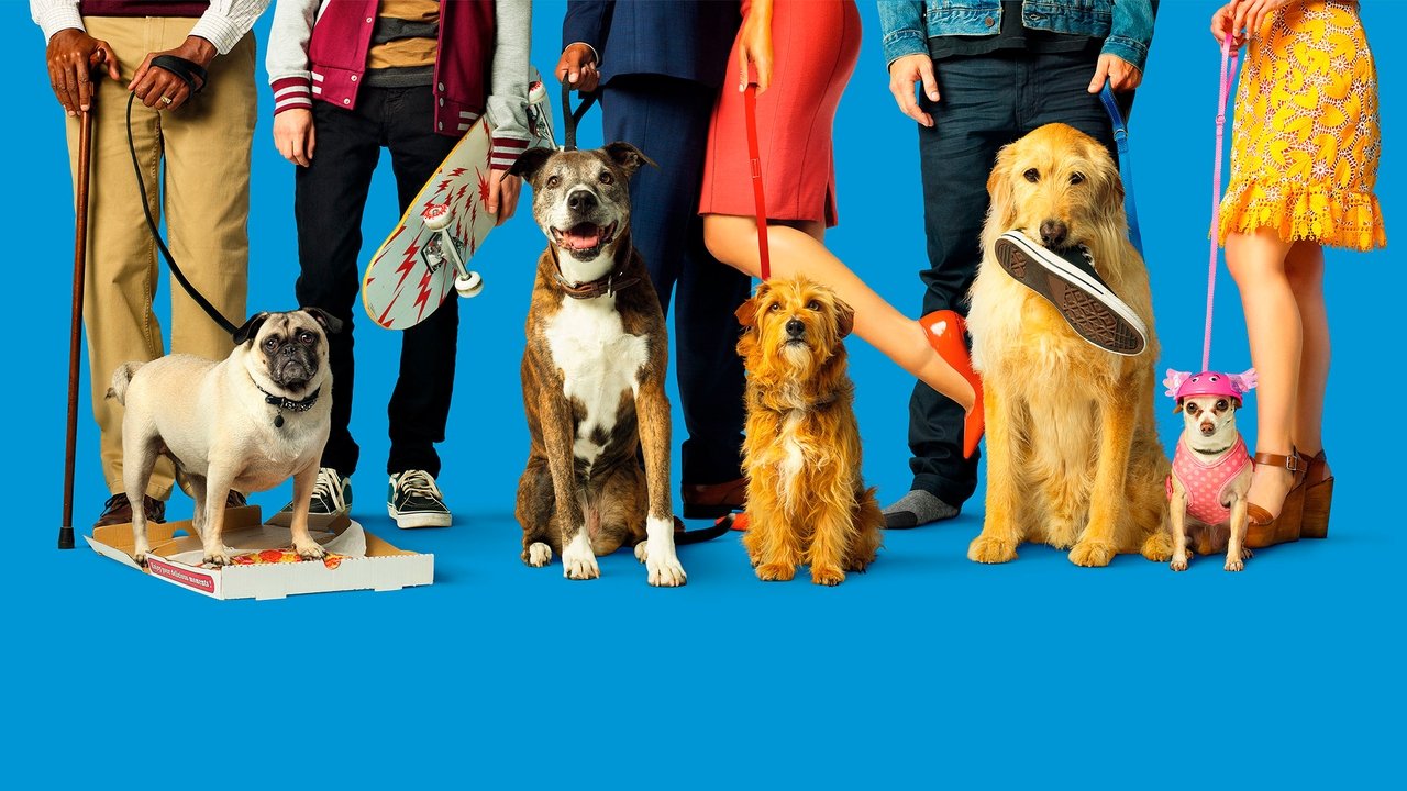 Dog Days (2018) backdrop artwork