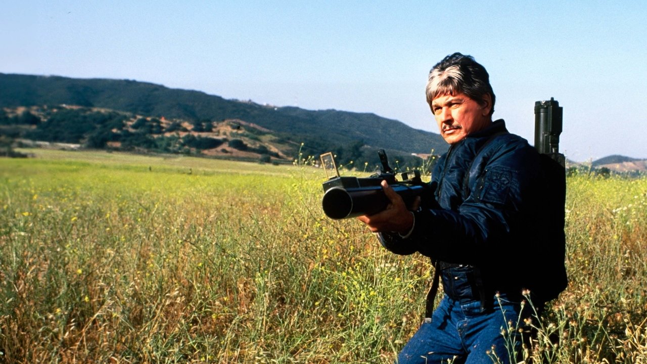 Assassination (1987) backdrop artwork
