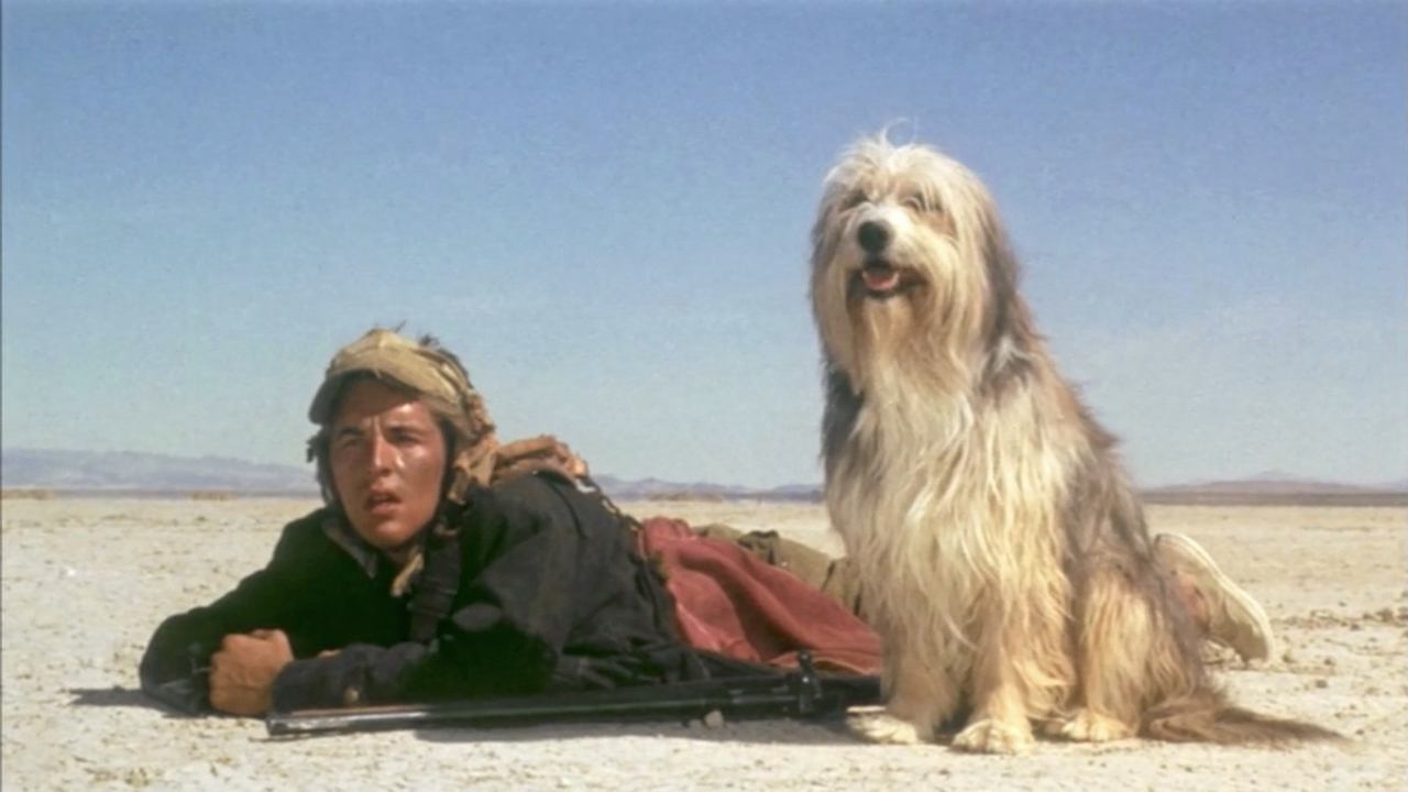 A Boy and His Dog (1975) backdrop artwork