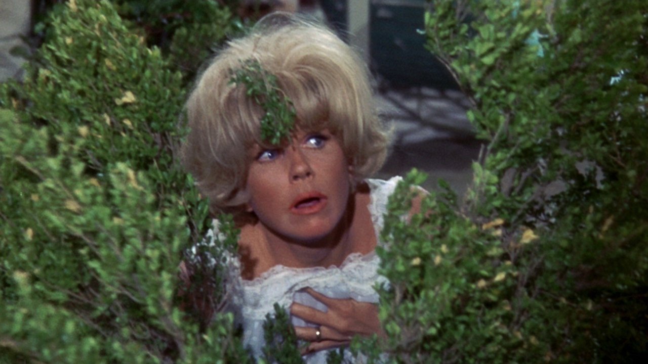 Send Me No Flowers (1964) backdrop artwork