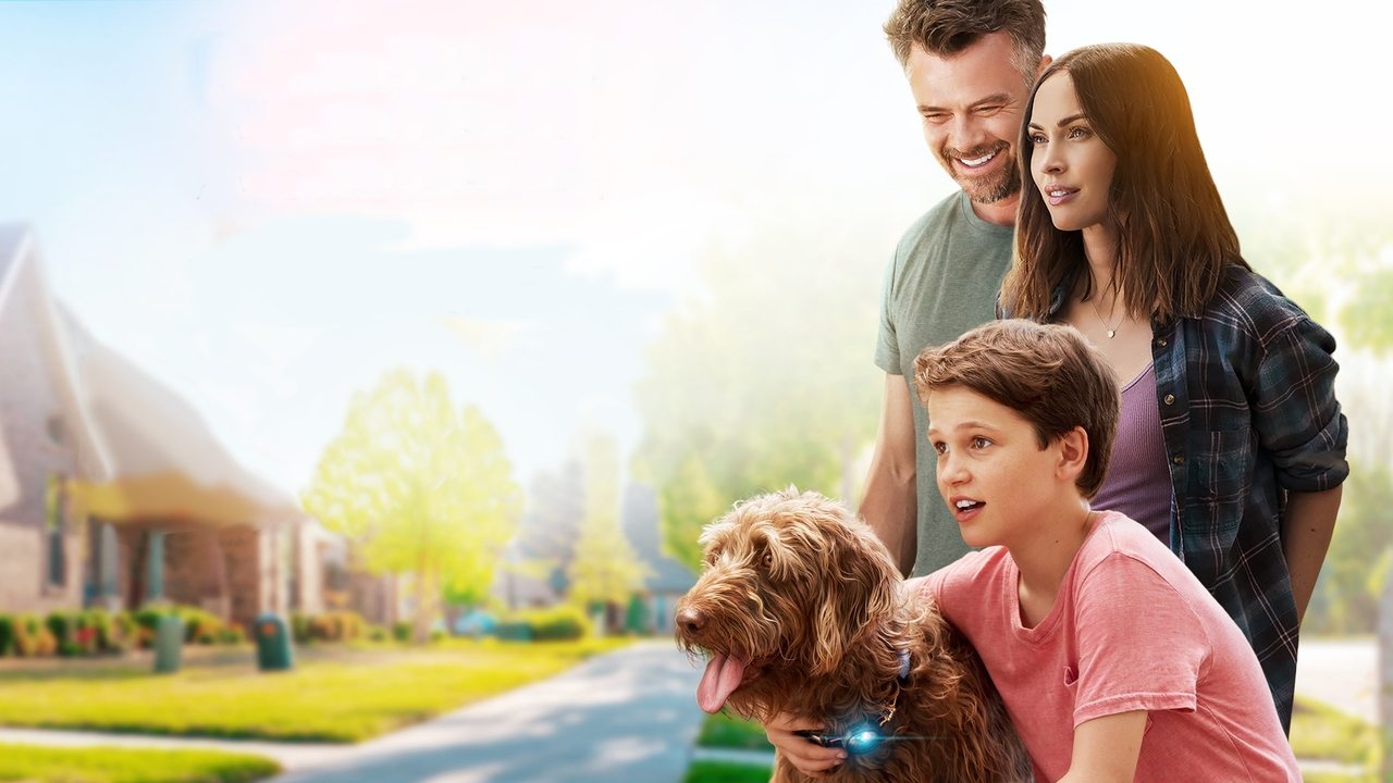 Think Like a Dog (2020) backdrop artwork