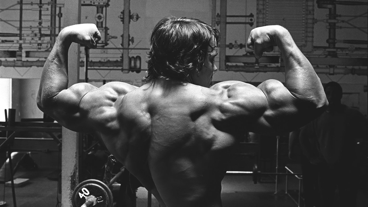 Pumping Iron (1977) backdrop artwork