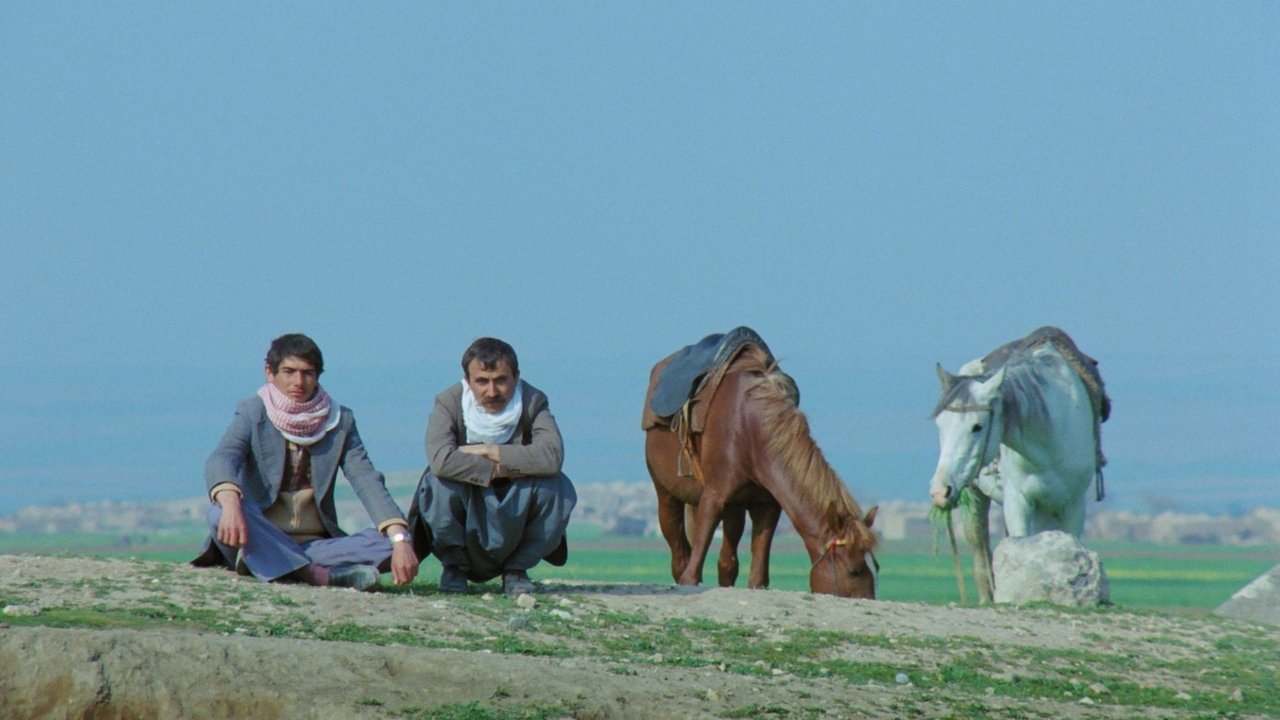 The Road (1982) backdrop artwork