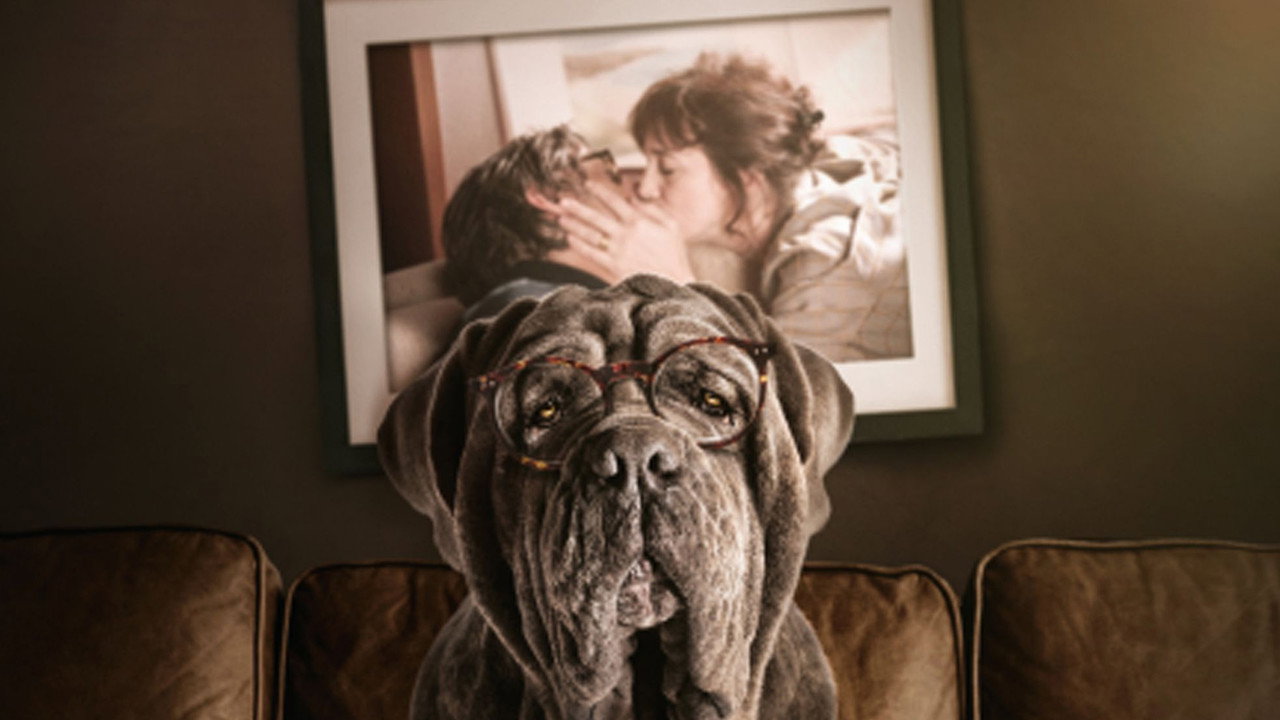 My Dog Stupid (2019) backdrop artwork