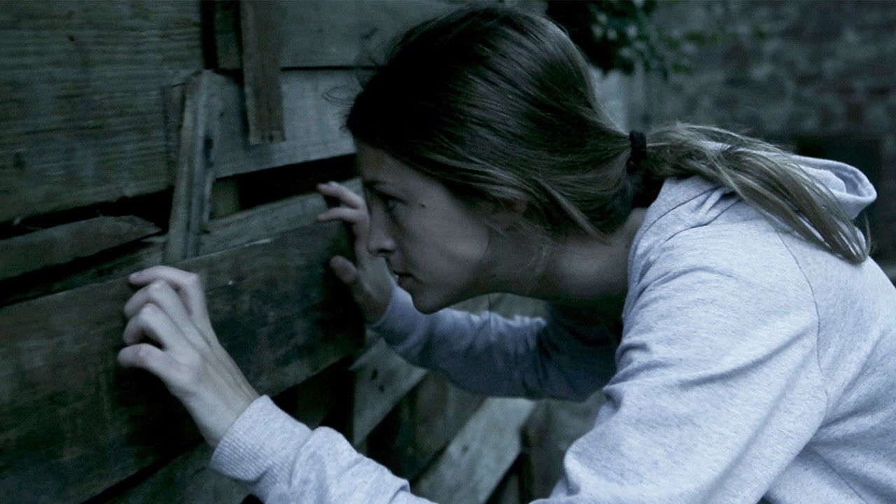 The Silent House (2010) backdrop artwork