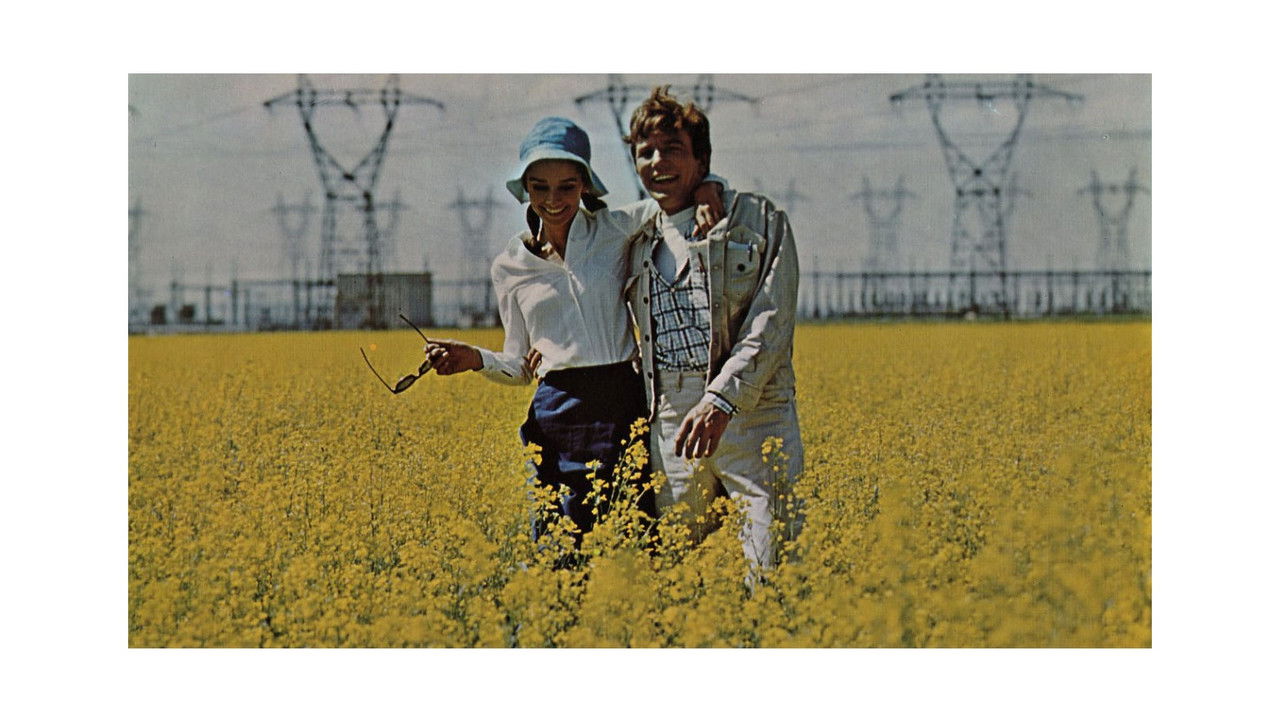Two for the Road (1967) backdrop artwork