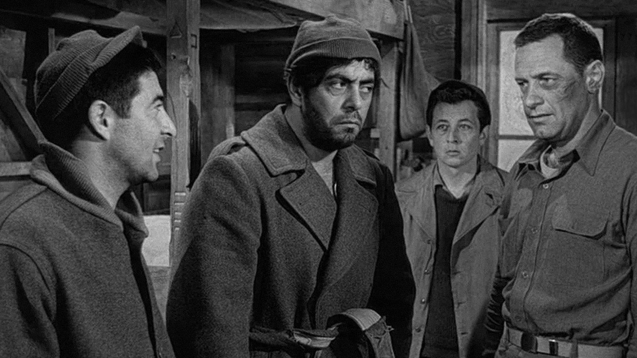 Stalag 17 (1953) backdrop artwork