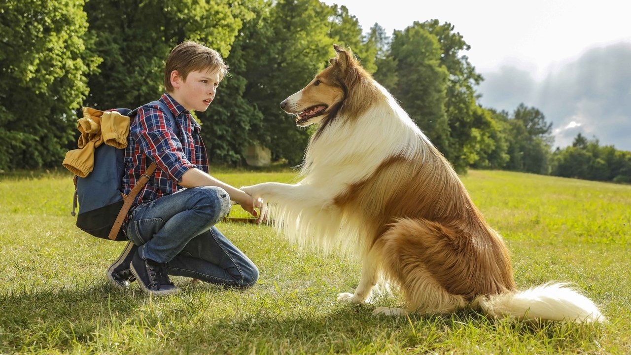 Lassie Come Home (2020) backdrop artwork