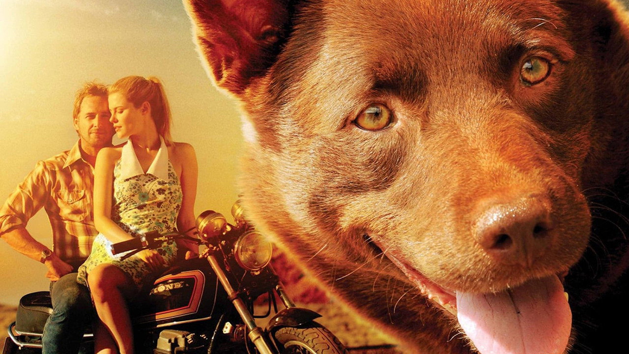 Red Dog (2011) backdrop artwork