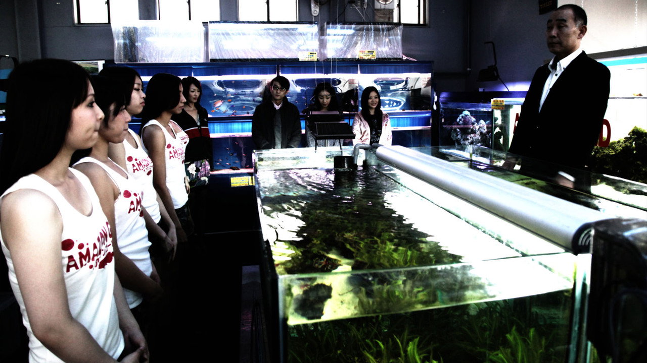 Cold Fish (2011) backdrop artwork