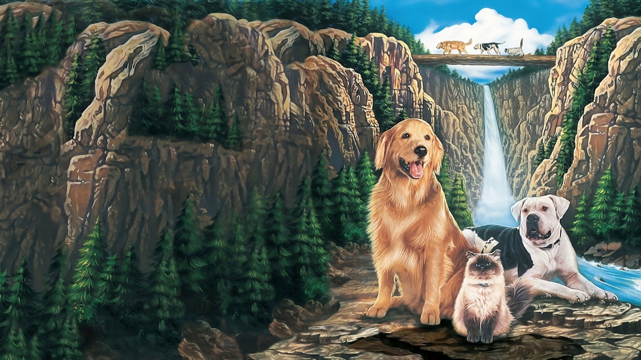 Homeward Bound: The Incredible Journey (1993) backdrop artwork