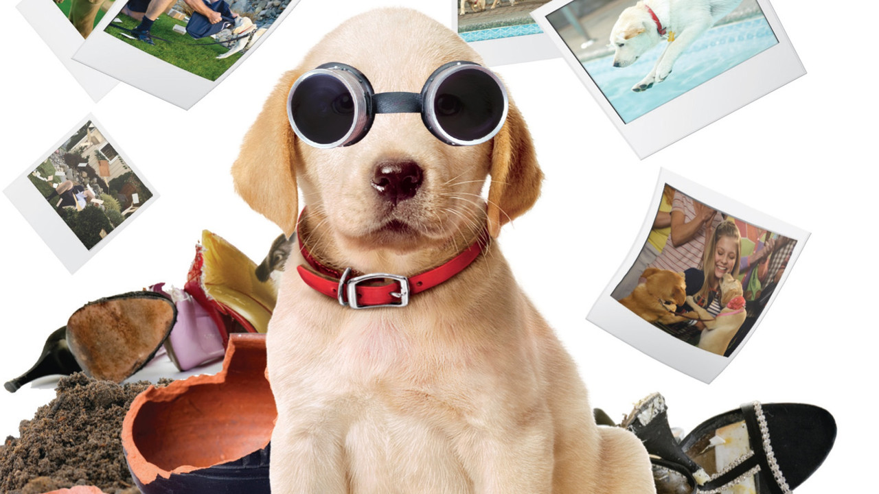 Marley & Me: The Puppy Years (2011) backdrop artwork