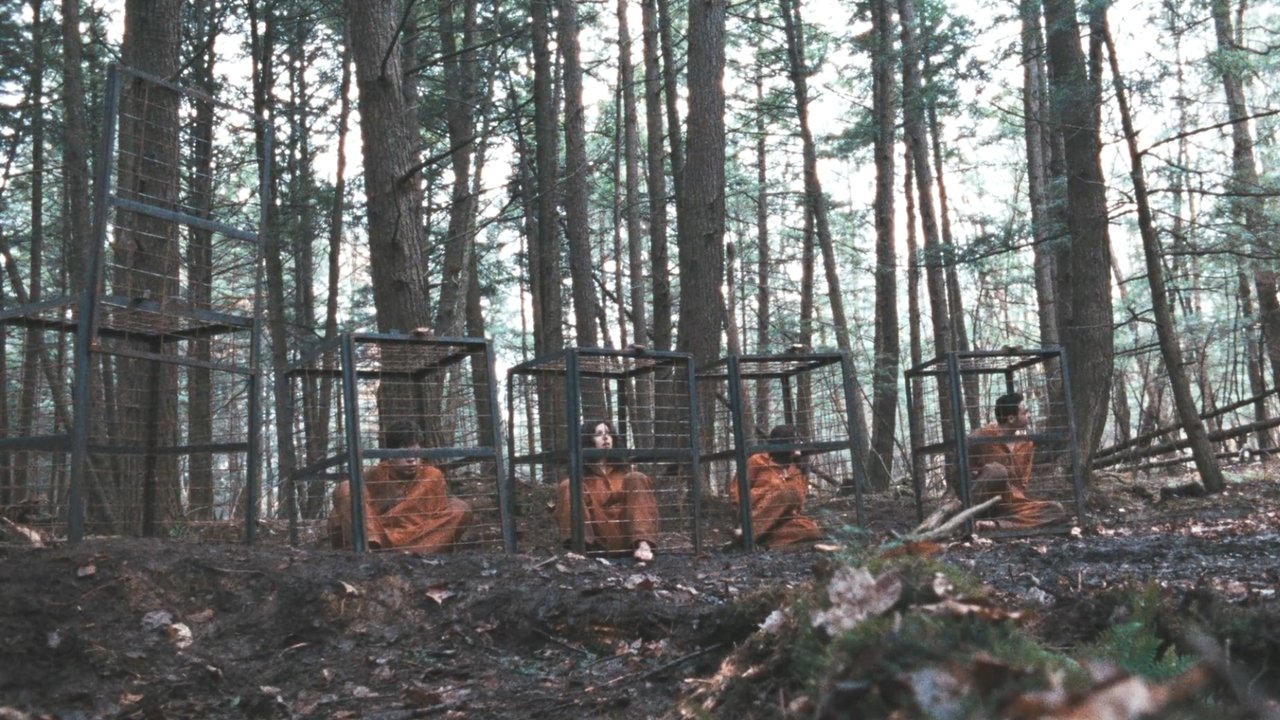 Territories (2010) backdrop artwork