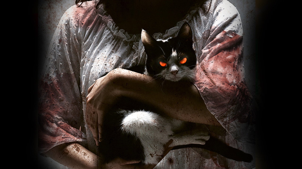 The Cat (2011) backdrop artwork
