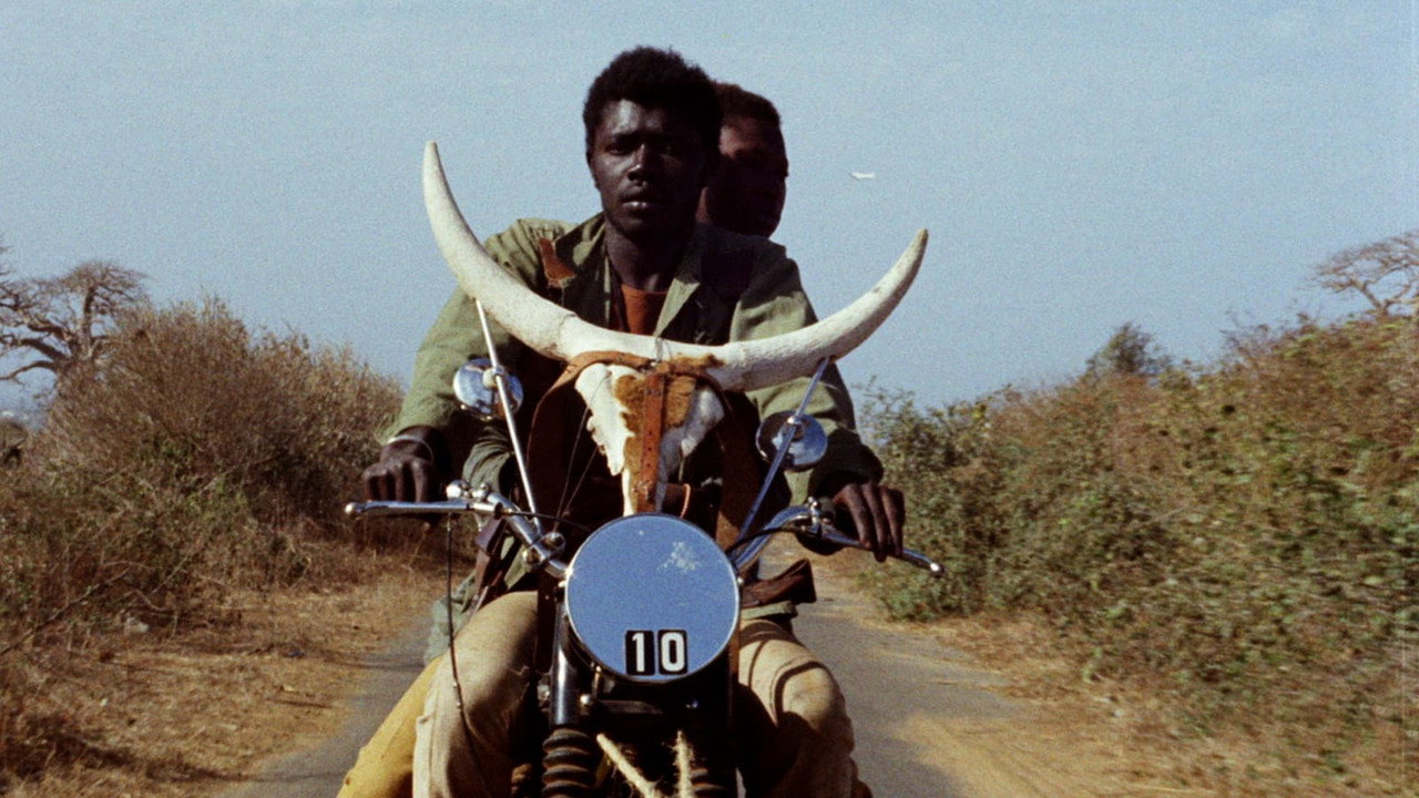 Touki Bouki (1973) backdrop artwork