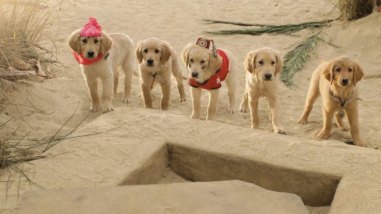Treasure Buddies (2012) backdrop artwork