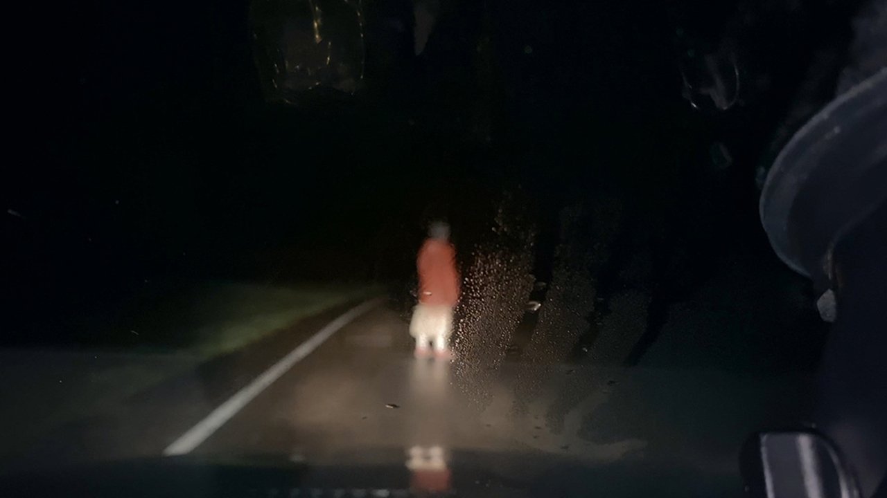 Dashcam (2022) backdrop artwork