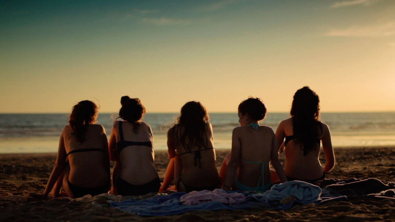 17 Girls (2011) backdrop artwork