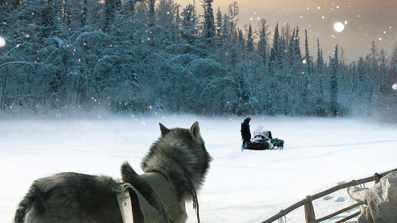 Happy People: A Year in the Taiga (2010) backdrop artwork