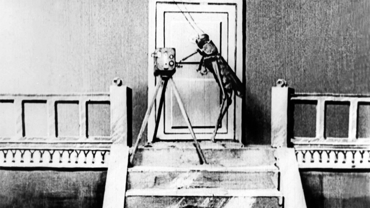 The Cameraman's Revenge (1912) backdrop artwork