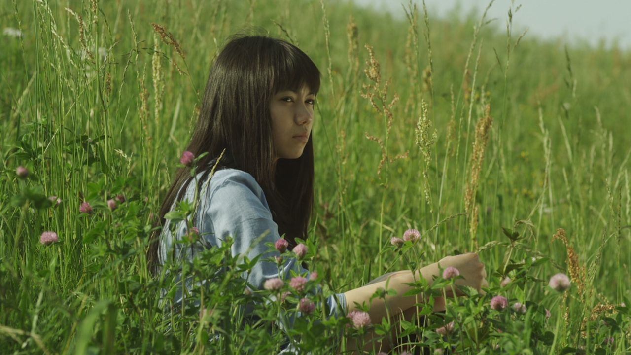 Himizu (2012) backdrop artwork