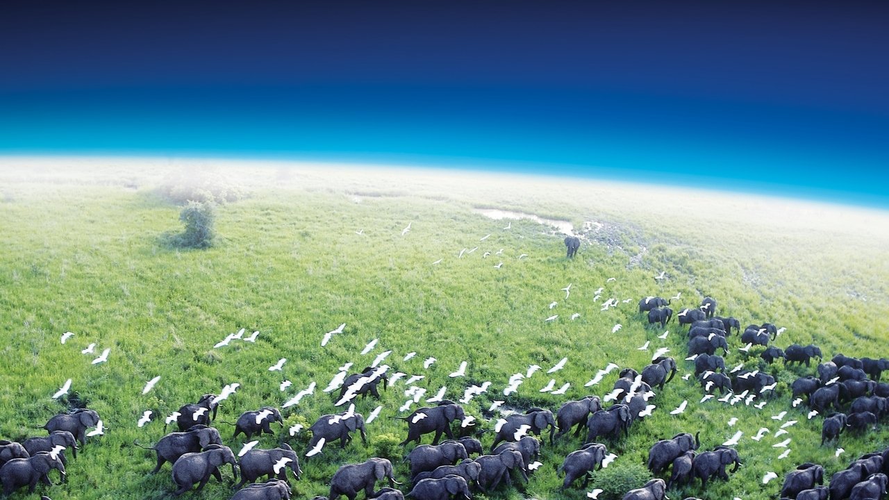Planet Earth (2006) series backdrop artwork